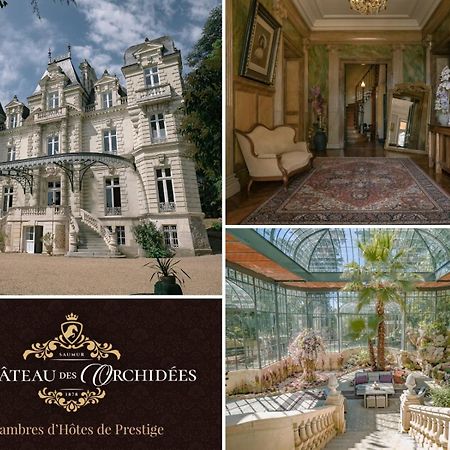 Chambres d'hôtes Château Les Orchidées SAUMUR Exterior foto