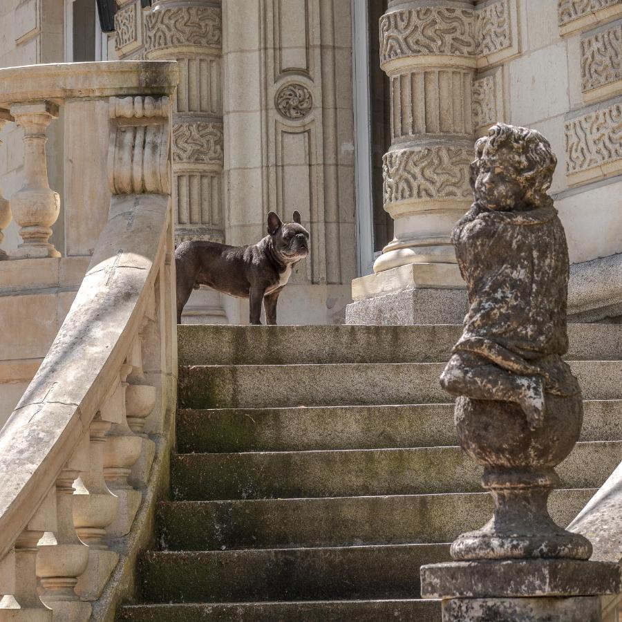 Chambres d'hôtes Château Les Orchidées SAUMUR Exterior foto