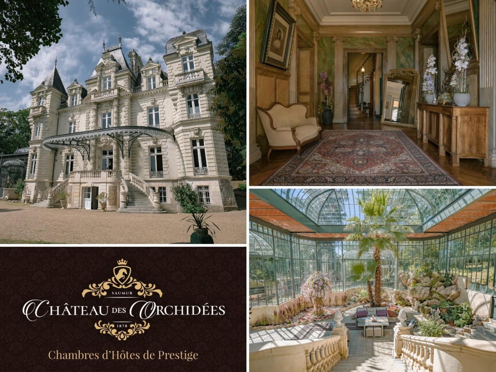 Chambres d'hôtes Château Les Orchidées SAUMUR Exterior foto