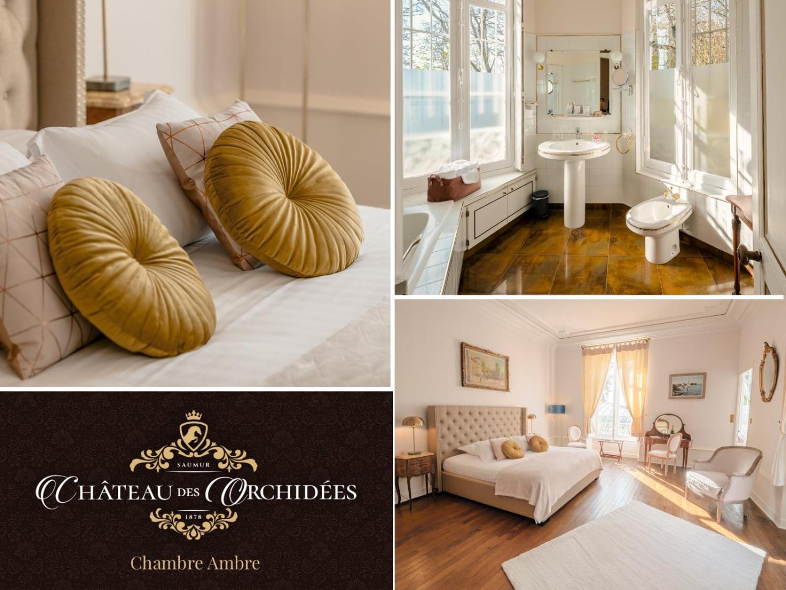 Chambres d'hôtes Château Les Orchidées SAUMUR Exterior foto